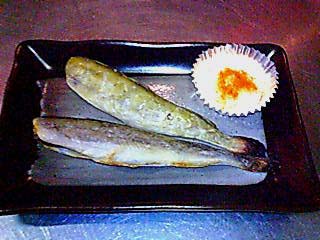 20070111182630.jpg